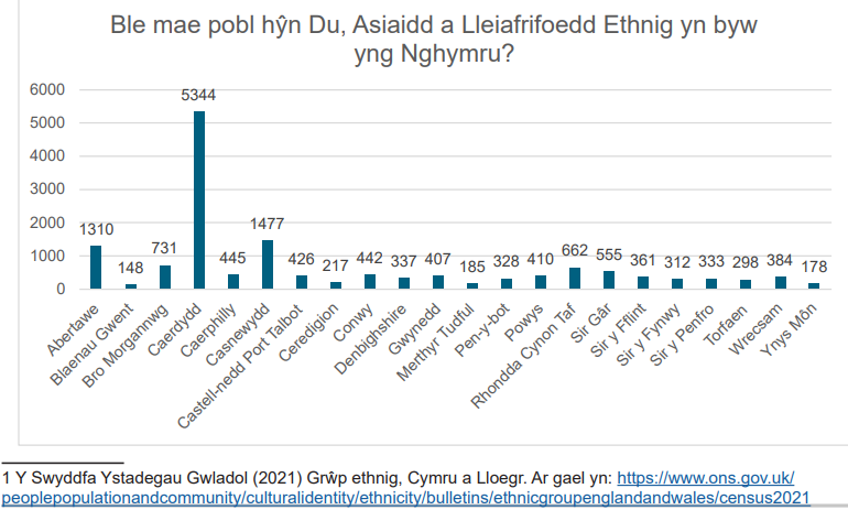 Graff sy'n amlinellu ble mae pobl hŷn Du, Asiaidd a Lleiafrifoedd // Ethnig yn byw yng Nghymru.A graph outlining where Black, Asian and Minority Ethnic older people live in Wales.