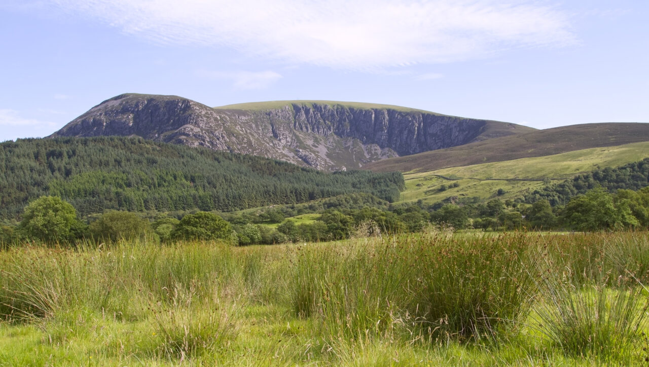 Golygfa gefn gwlad gyda mynydd yn y cefndir, a bryniau gwyrdd o'i flaen. // Countryside scene with a mountain in the background, and green hills in front.